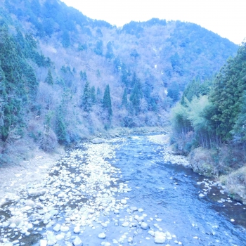 DSCN5552.JPG