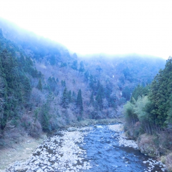 DSCN5556.JPG