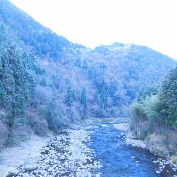 DSCN5566.JPG