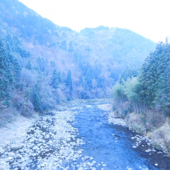 DSCN5570.JPG