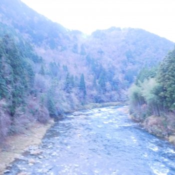 DSCN5574.JPG