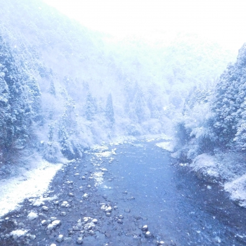 DSCN5582.JPG