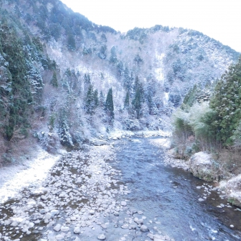 DSCN5586.JPG