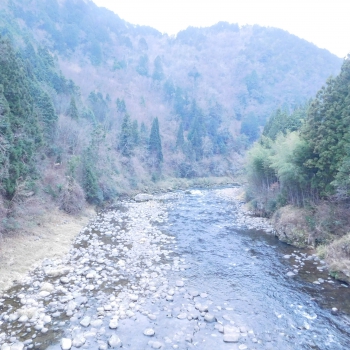 DSCN5590.JPG