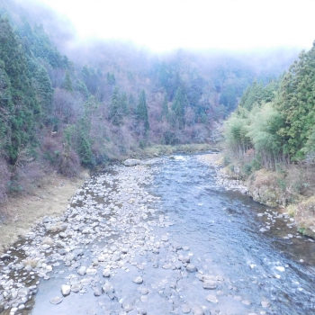 DSCN5594.JPG