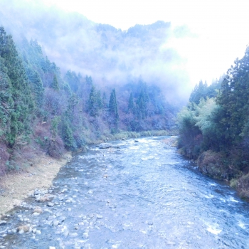 DSCN5598.JPG