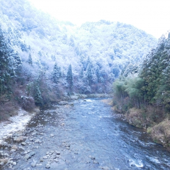 DSCN5603.JPG