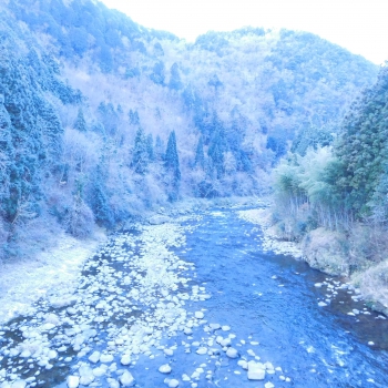 DSCN5607.JPG
