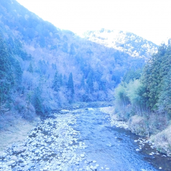 DSCN5611.JPG