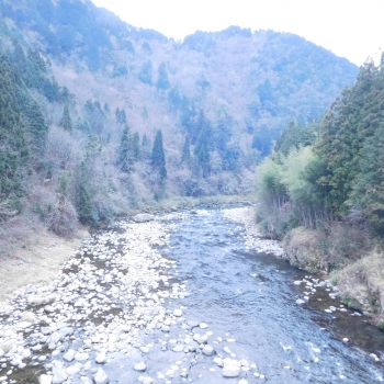 DSCN5623.JPG