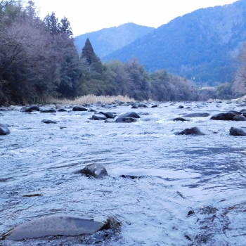 DSCN5631.JPG