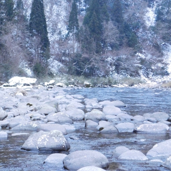 DSCN5645.JPG