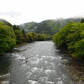 DSCN5650.JPG