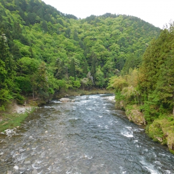 DSCN5693.JPG