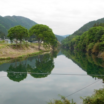 DSCN5740.JPG