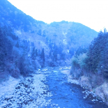 DSCN5746.JPG