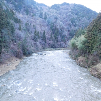 DSCN5782.JPG