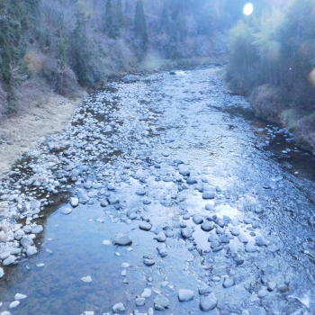 DSCN5796.JPG