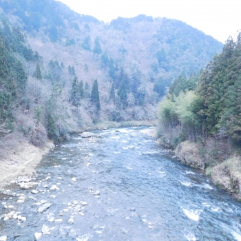 DSCN5807.JPG