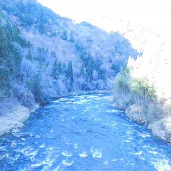 DSCN5815.JPG