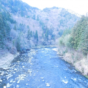 DSCN5819.JPG