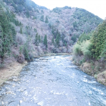 DSCN5905.JPG