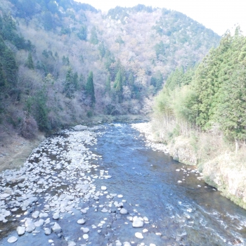 DSCN5937.JPG