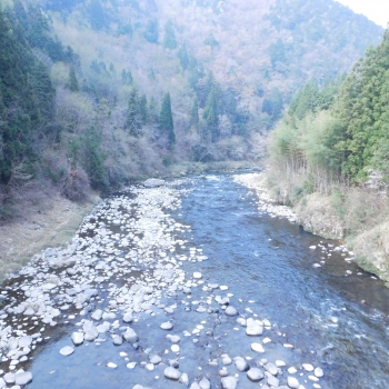 DSCN6011.JPG