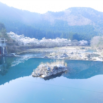 DSCN6016.JPG