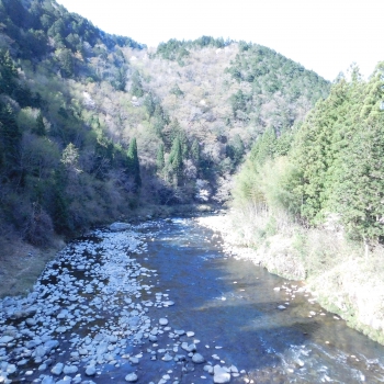 DSCN6033.JPG
