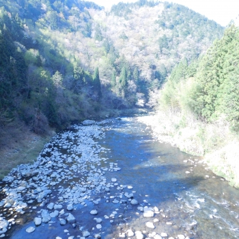 DSCN6061.JPG