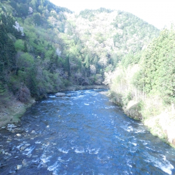 DSCN6109.JPG
