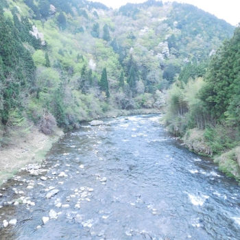 DSCN6113.JPG