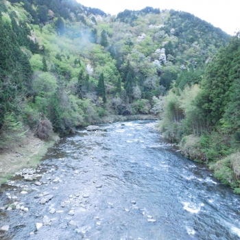 DSCN6117.JPG