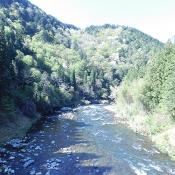 DSCN6121.JPG