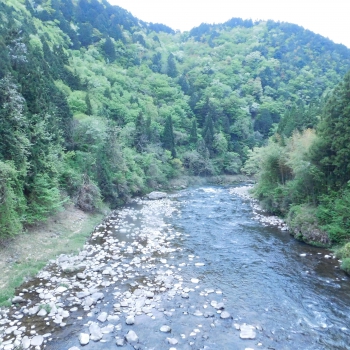 DSCN6284.JPG