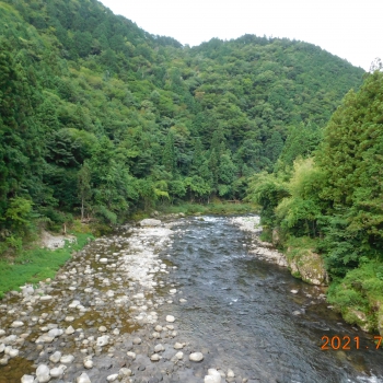 DSCN6317.JPG