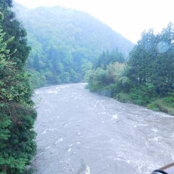DSCN6335.JPG