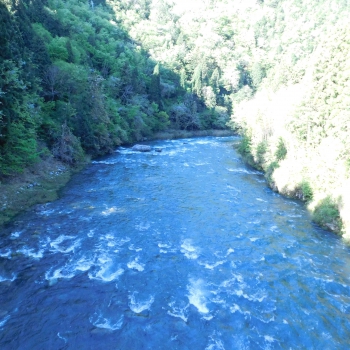 DSCN6350.JPG