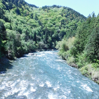 DSCN6354.JPG