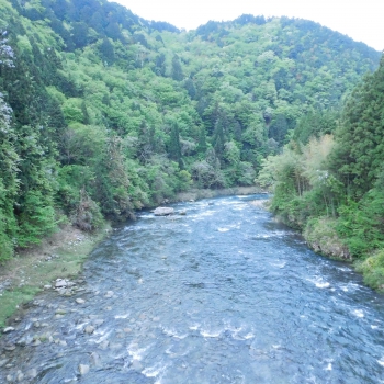 DSCN6420.JPG