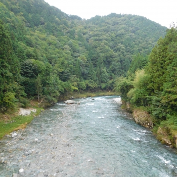 DSCN6480.JPG
