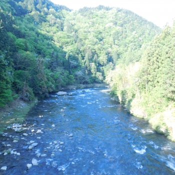 DSCN6482.JPG