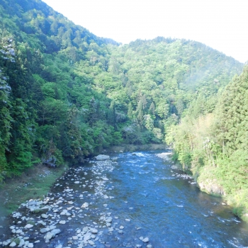 DSCN6585.JPG
