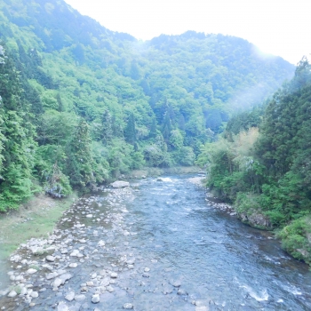 DSCN6589.JPG