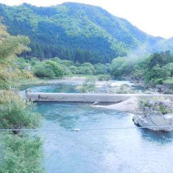 DSCN6598.JPG