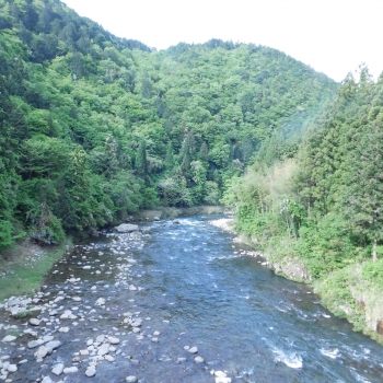 DSCN6605.JPG