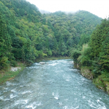 DSCN6628.JPG
