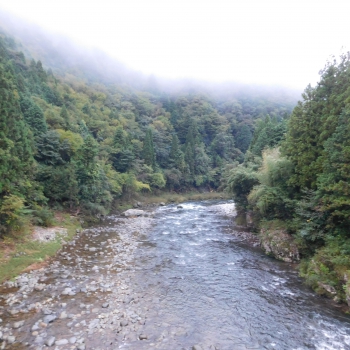DSCN6644.JPG