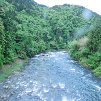 DSCN6672.JPG
